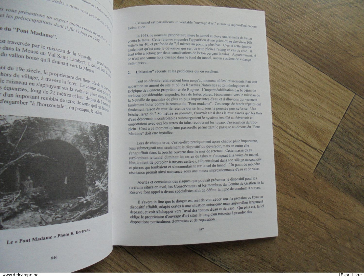 MEMOIRE DE NEUPRE N° 23 Régionalisme Bois Grotte Rosière Ecole Plainevaux Loup Loup Garou Cartulaire Neuville Demblon