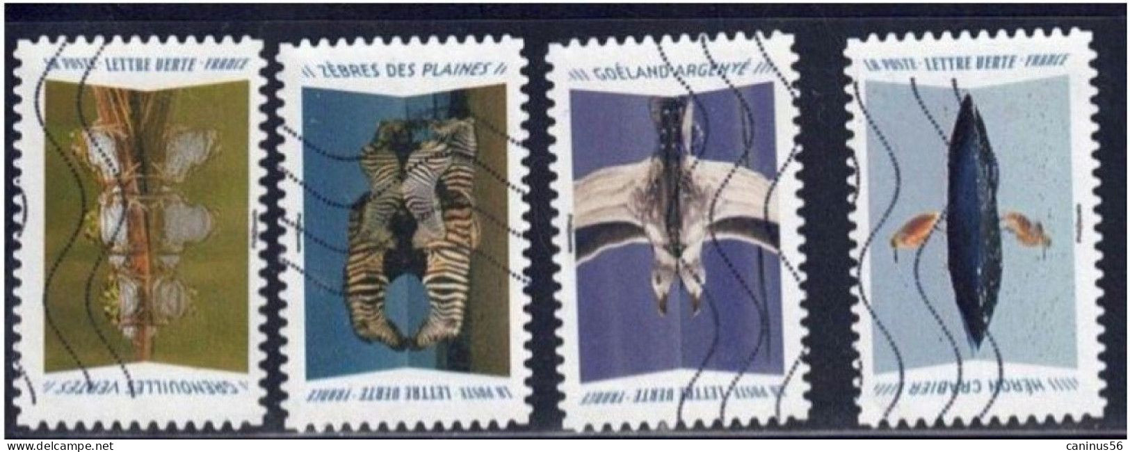 2020 Yt AA 1815 1823 1824 1825 (o) Animaux Du Monde Reflets 4 Visuels - Used Stamps