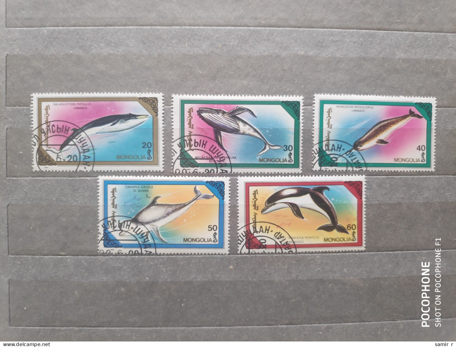 1990	Mongolia	Fishes (F97) - Mongolië