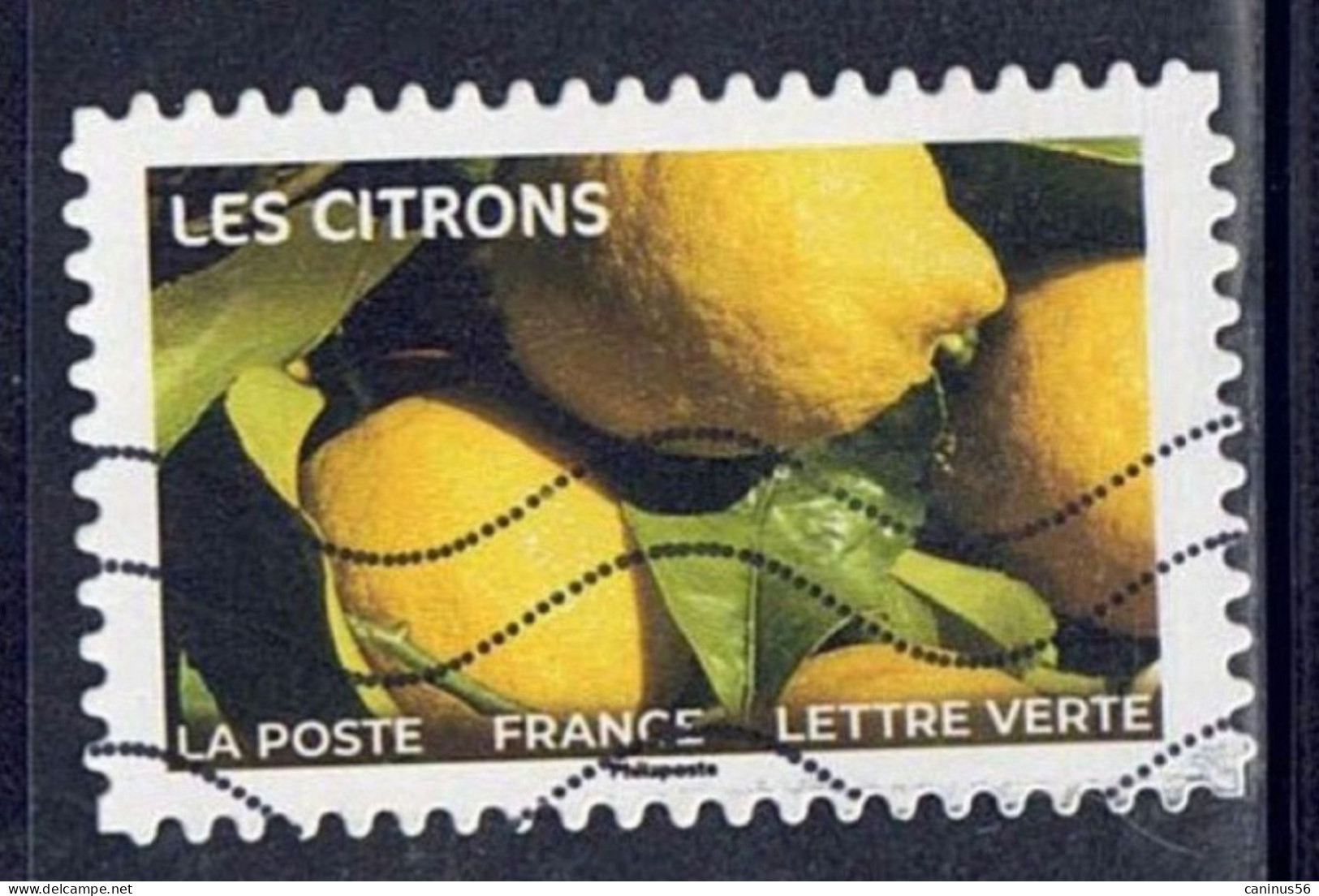 2023 Yt AA 2288  Fruits à Savourer Les Citrons - Usati