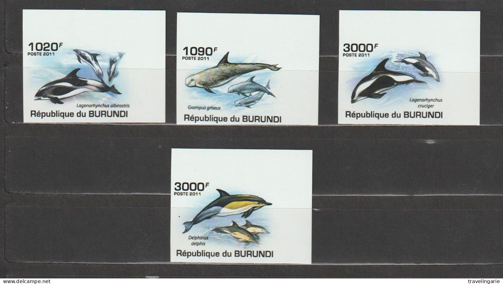 Burundi 2011 Dolphins / Les Dauphins Imperforate / ND MNH/** - Ongebruikt