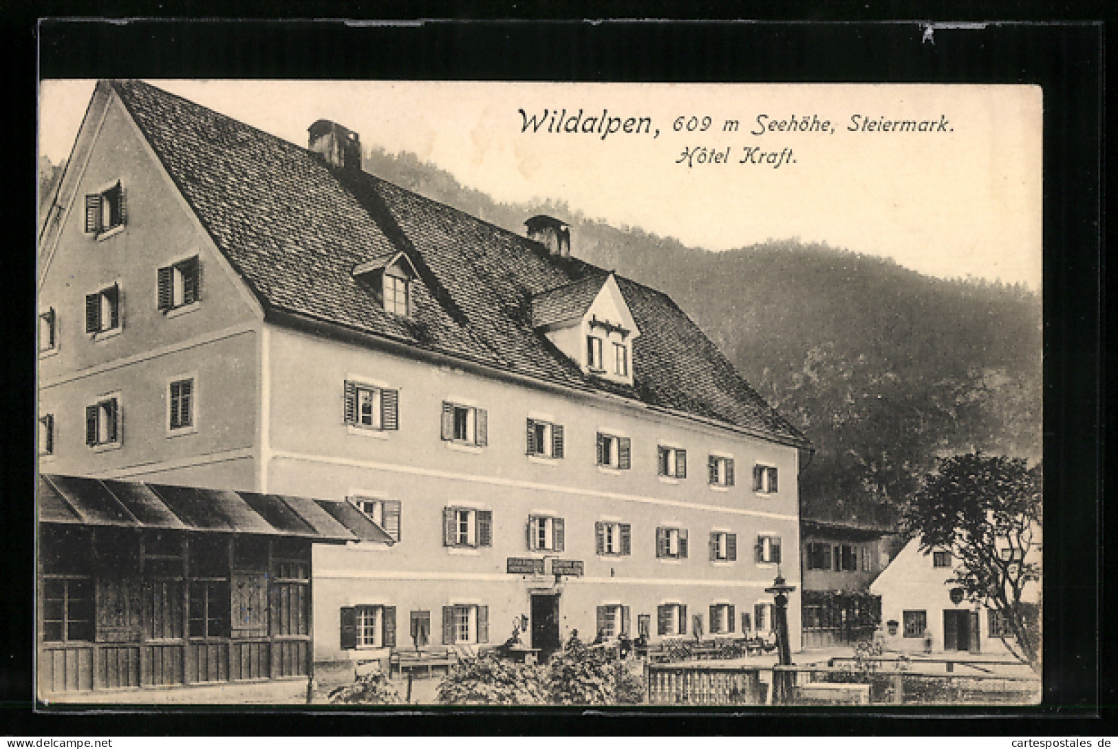 AK Wildalpen /Steiermark, Blick Auf Das Hotel Kraft  - Autres & Non Classés