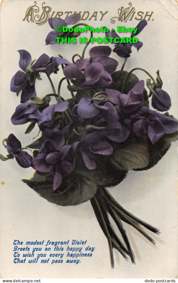 R419033 A Birthday Wish. The Modest Fragrant Violet Greets You On This Happy Day - Monde