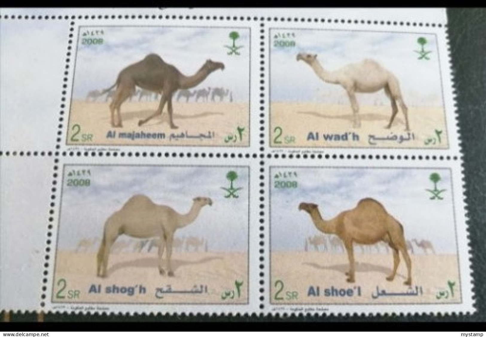 Saudi Arabia  2008 ISSUE Camels Block . 1V  MNH - Other & Unclassified