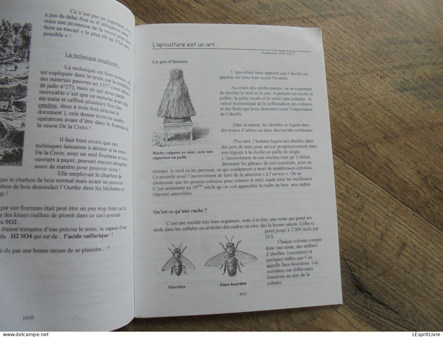 MEMOIRE DE NEUPRE N° 28 Régionalisme Neuville Clément Pirnay Château Ehein Apiculture Apiculteur Abeilles Procession - Belgium