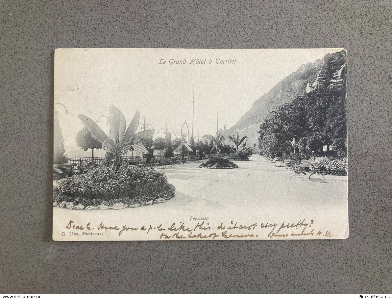 Terrasse - Le Grand Hotel A Territet Carte Postale Postcard - Autres & Non Classés