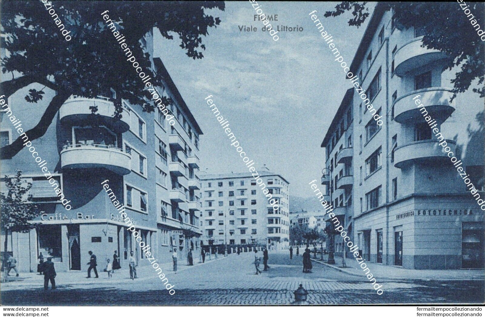 Au276 Cartolina Fiume Viale De Littorio  Croazia - Sonstige & Ohne Zuordnung