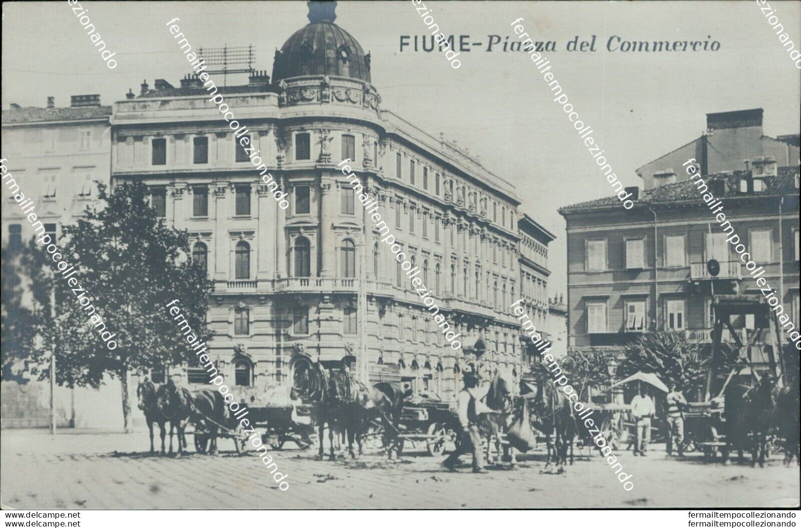 Al648 Cartolina Fotografica Fiume Piazza Del Commercio Croazia - Sonstige & Ohne Zuordnung