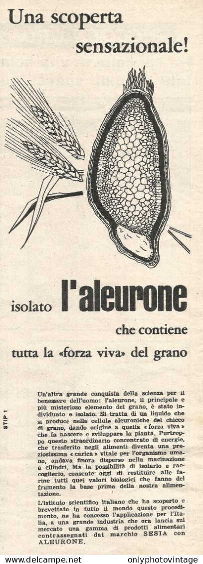 Alimenti SESIA Con Aleurone - Pubblicit� Del 1958 - Vintage Advertising - Publicités