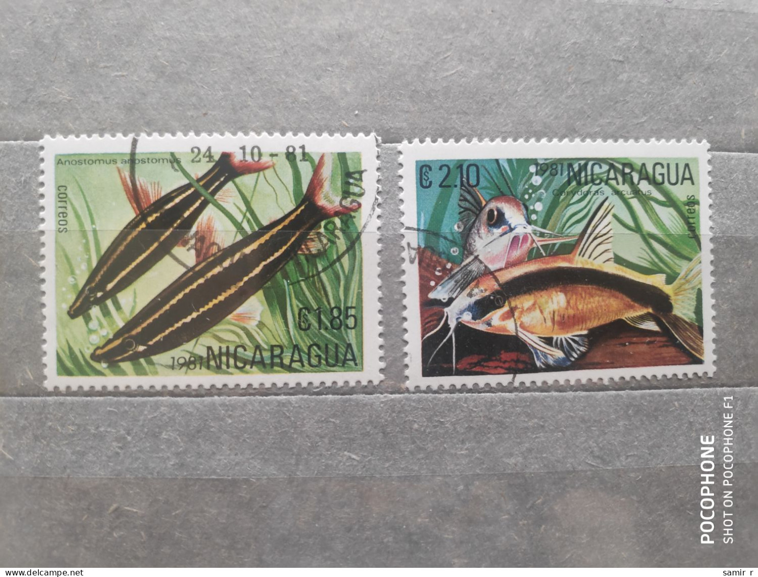 1981	Nicaragua	Fishes (F97) - Nicaragua