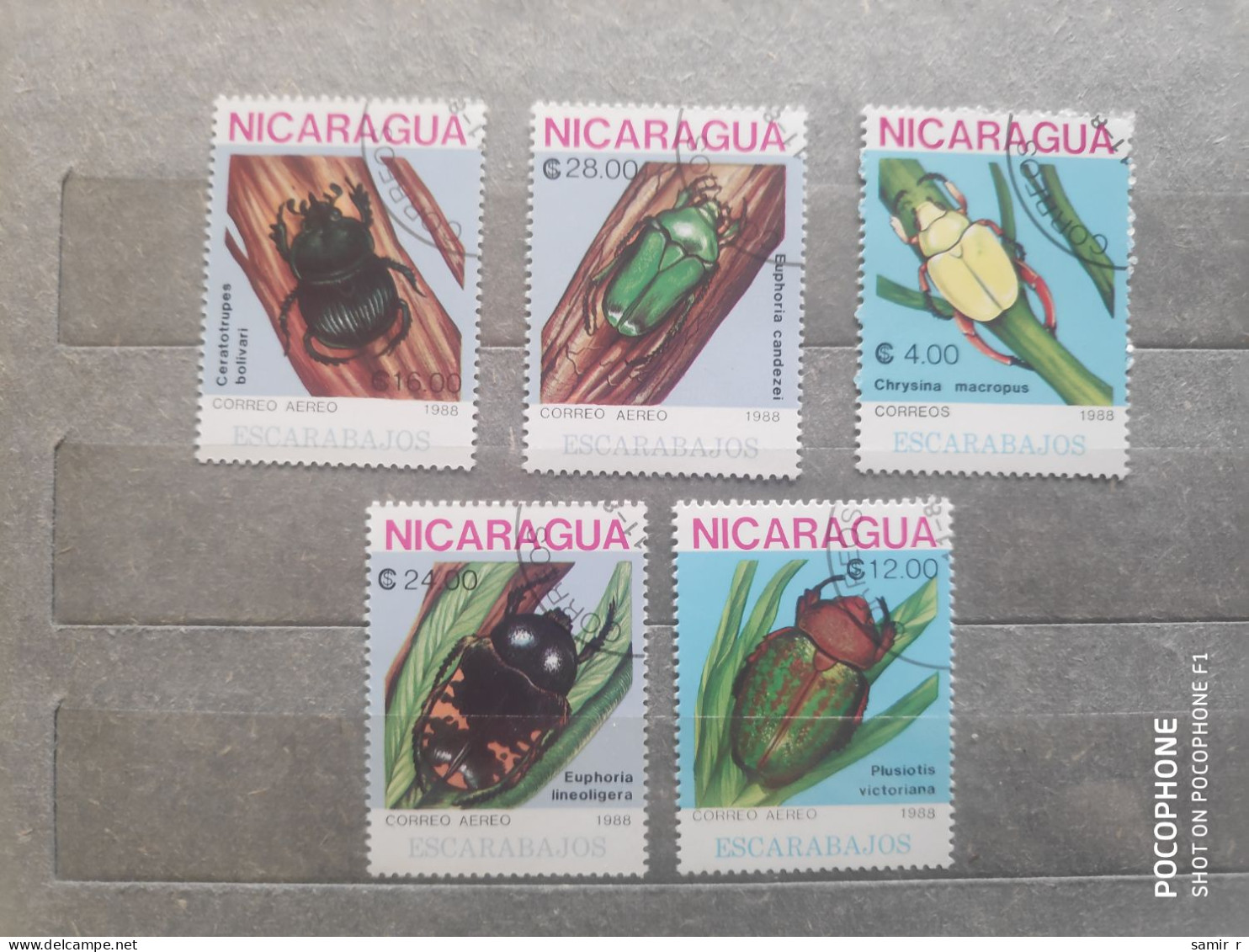 1988	Nicaragua	Insects (F97) - Nicaragua