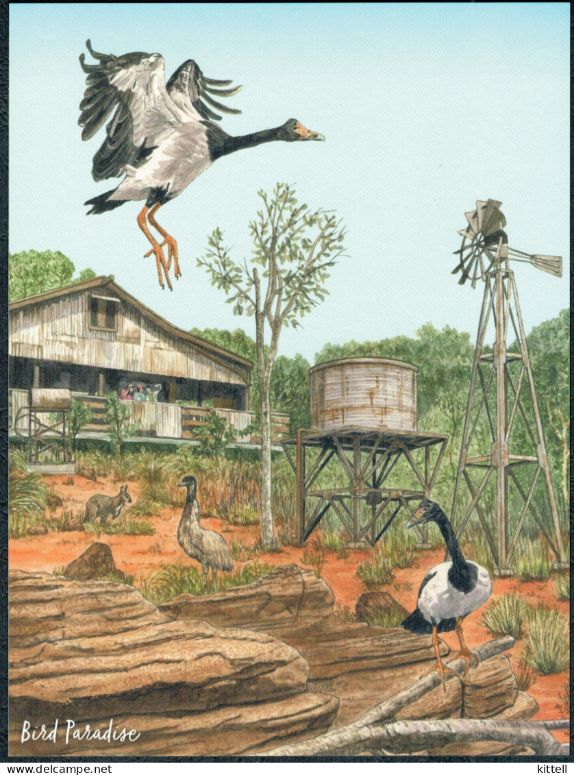 Singapore Postcard Bird Paradise Australian Outback - Birds