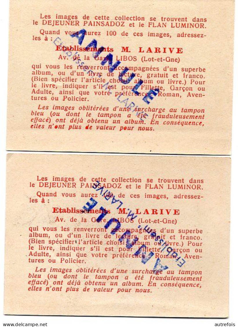 ANIMAUX  PREHISTOIRE  2 CHROMO  PUB DEJEUNER PAINSADOZ ET FLAN LUMINOR - ETS M LARIVE LIBOS 47 - Autres & Non Classés