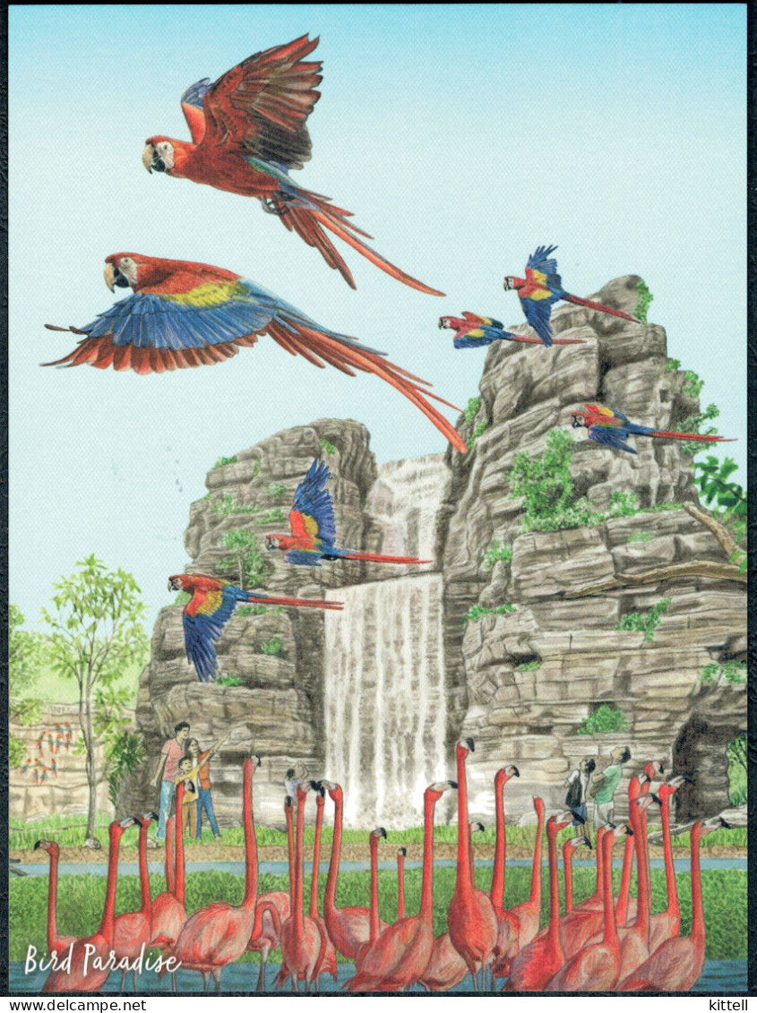 Singapore Postcard Bird Paradise Macaw Flamingo - Birds