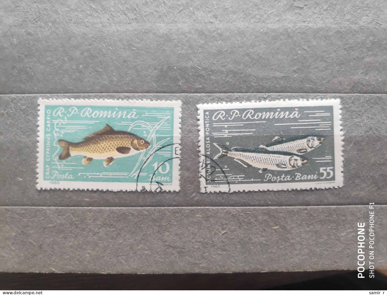 1960	Romania	Fishes (F97) - Used Stamps