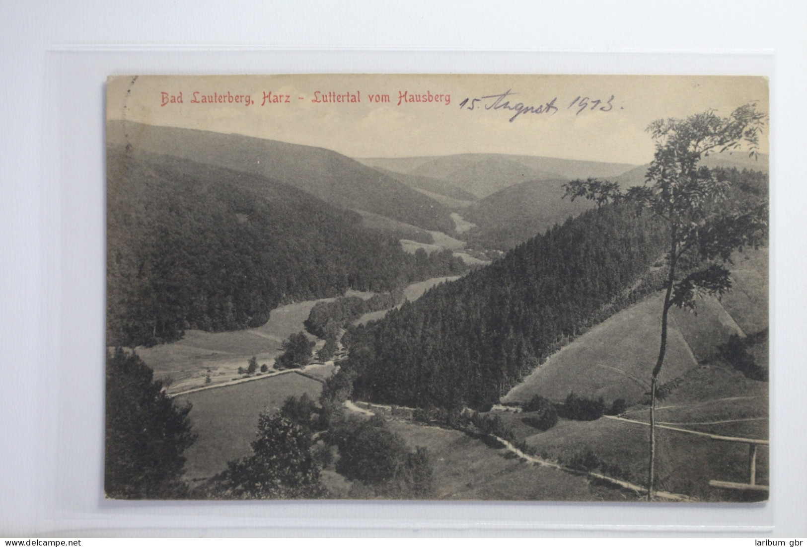 AK Bad Lauterberg / Harz Luttertal Vom Hausberg 1913 Gebraucht #PI795 - Other & Unclassified