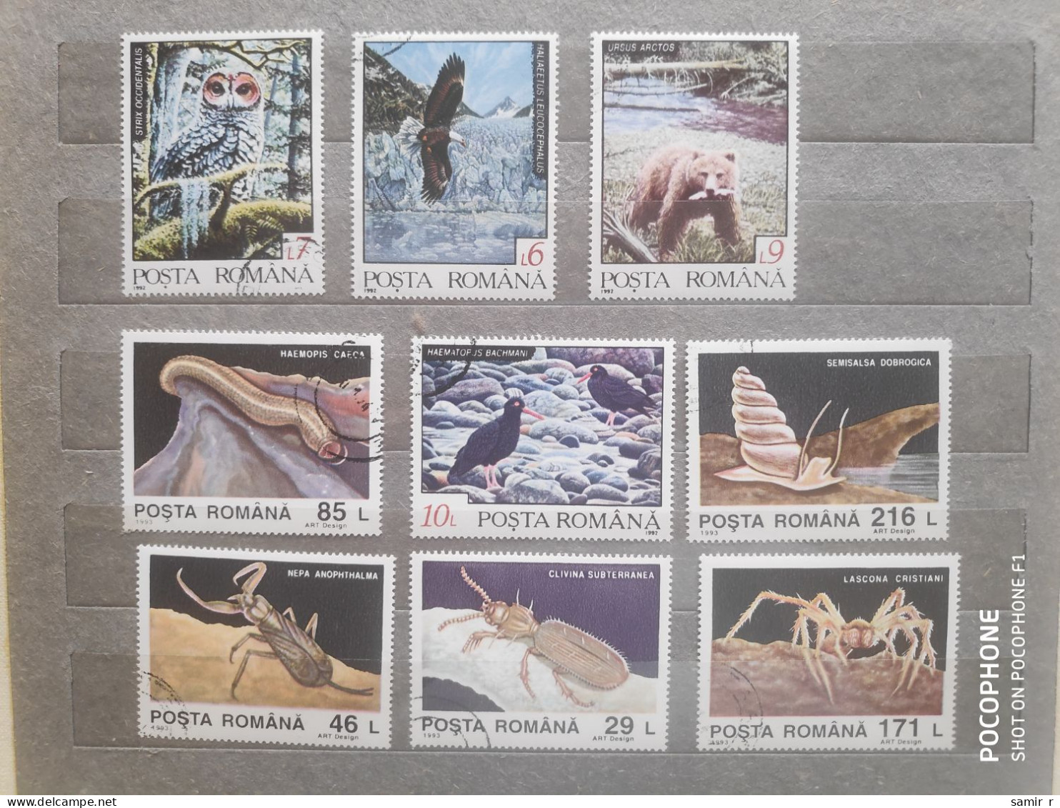 1993	Romania	Animals (F97) - Usati