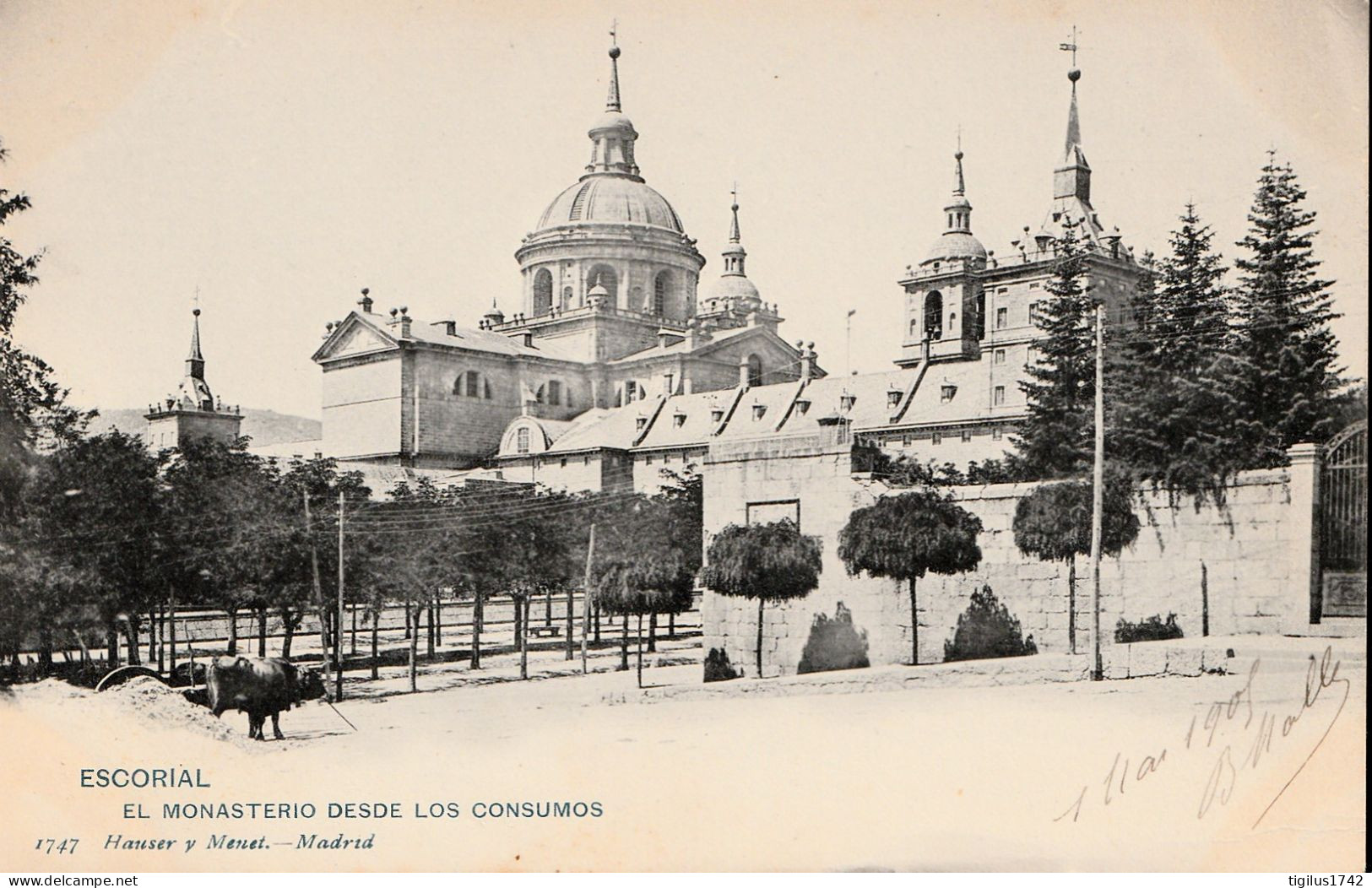 Escorial El Monasterio Desde Los Consumos - Madrid