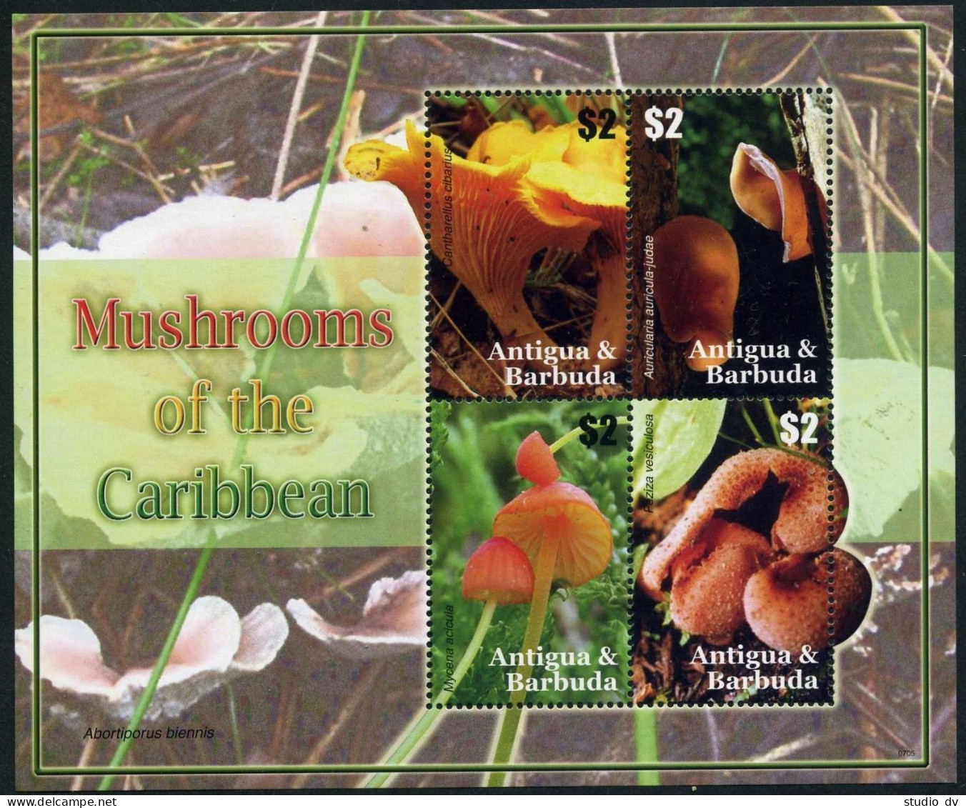 Antigua 2943-2944 Sheets,MNH. Mushrooms Of The Caribbean,2007. - Antigua En Barbuda (1981-...)