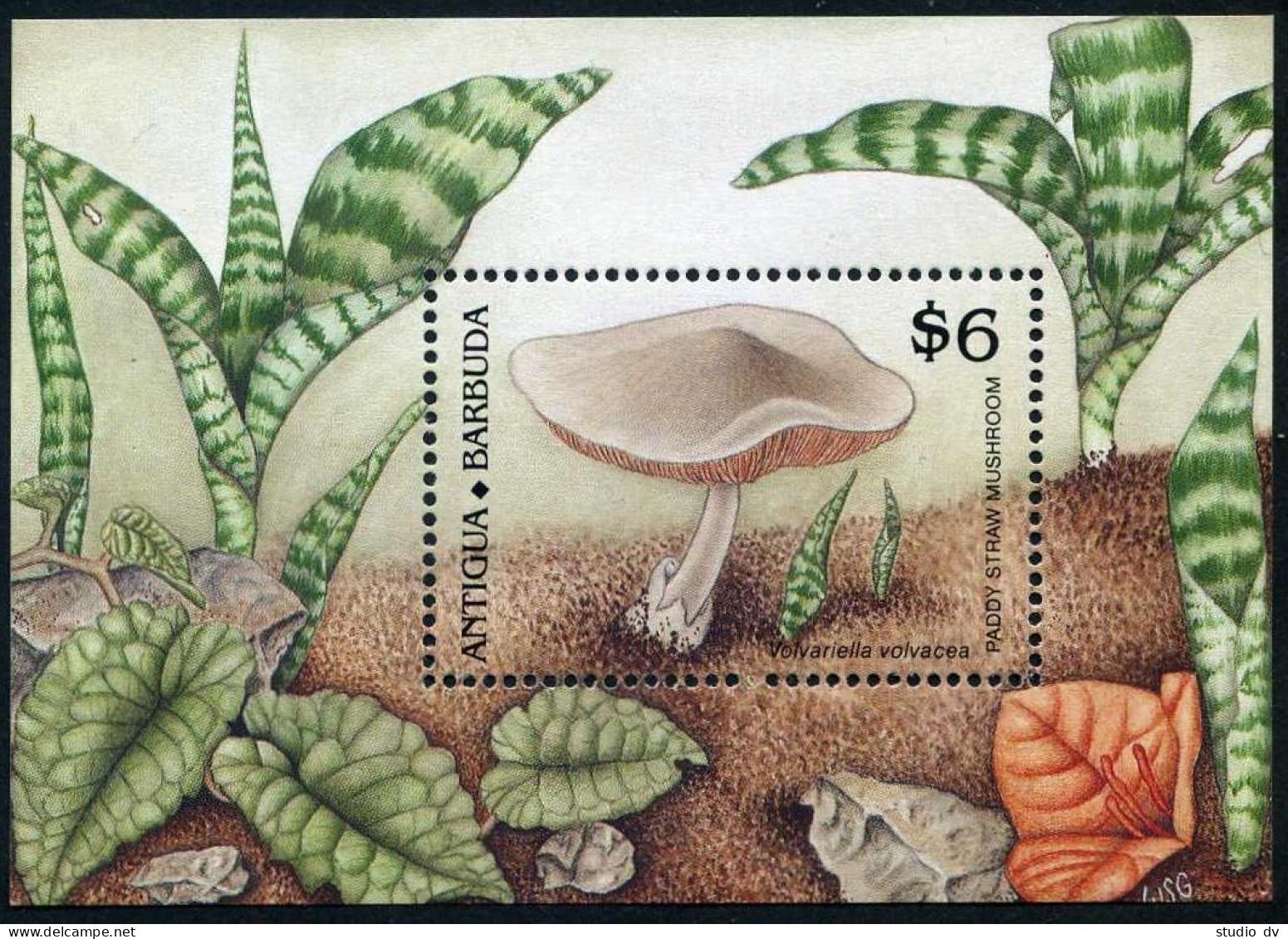 Antigua 1223-1230, 1231-1232, MNH. Michel 1258-1265, Bl.162-163. Mushrooms 1989. - Antigua Und Barbuda (1981-...)