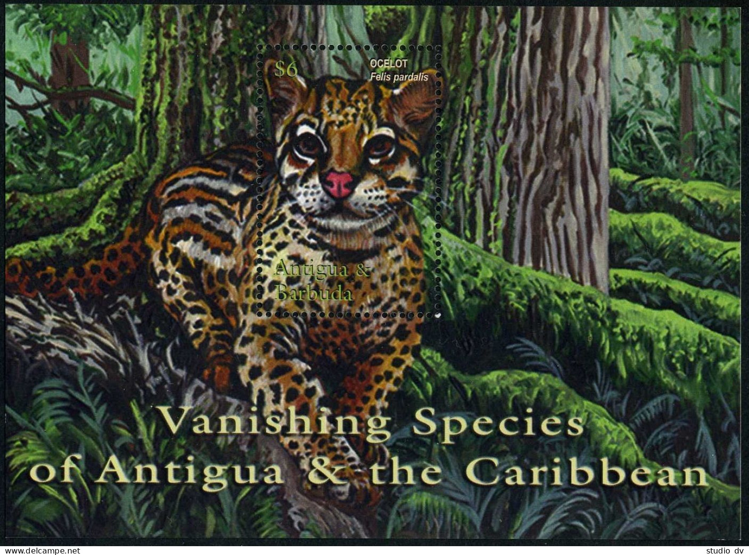 Antigua 2505-2506,MNH. Vanishing Species Of Caribbean,2001.Ocelot,King Vulture. - Antigua Und Barbuda (1981-...)