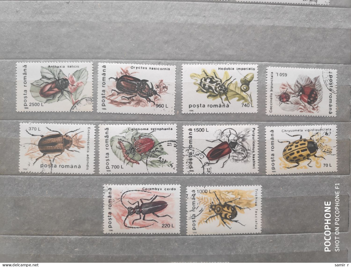 1996	Romania	Insects (F97) - Oblitérés
