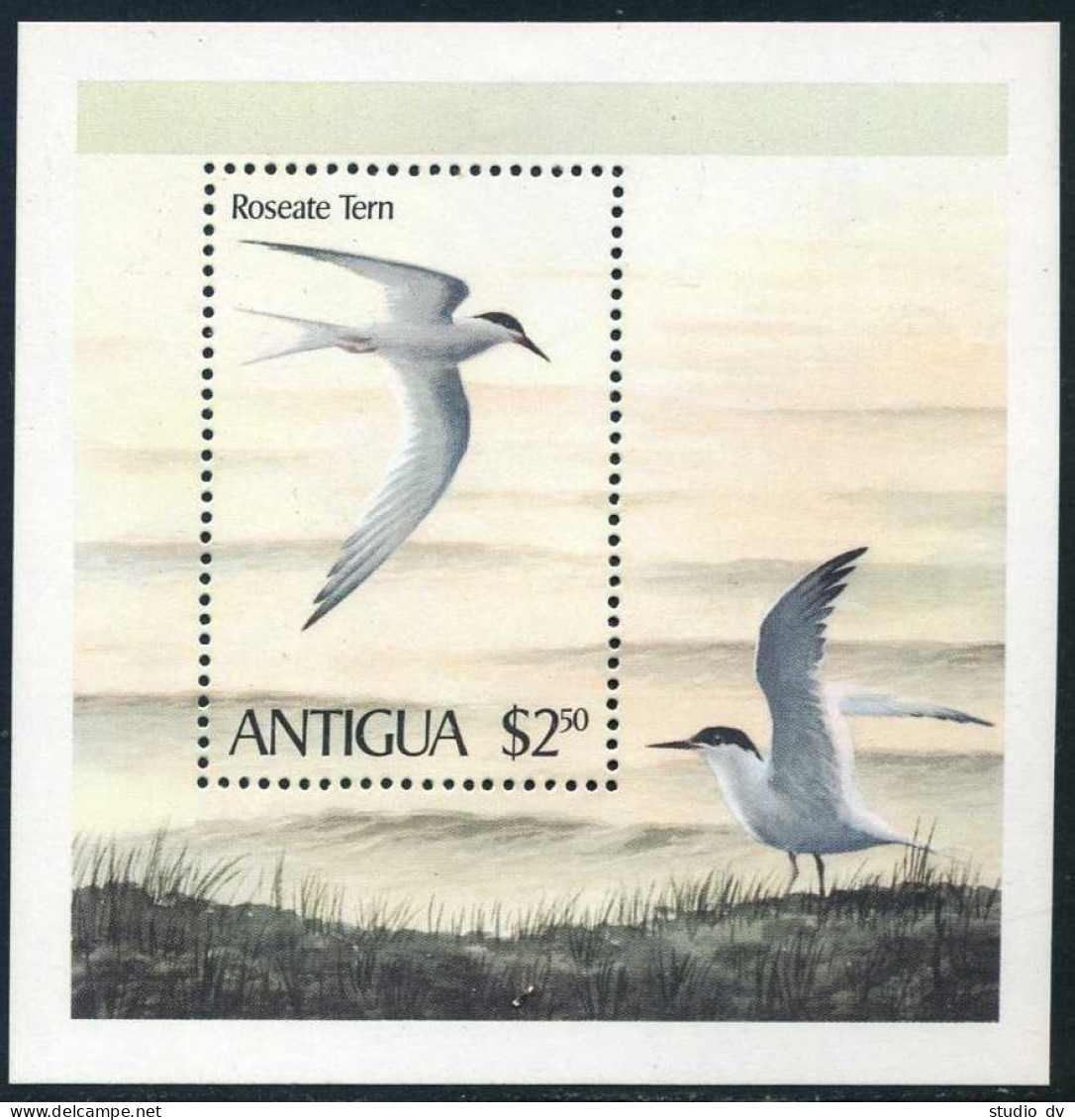 Antigua 591, MNH. Michel Bl.51. Birds 1980. Roseate Tern. - Antigua Et Barbuda (1981-...)