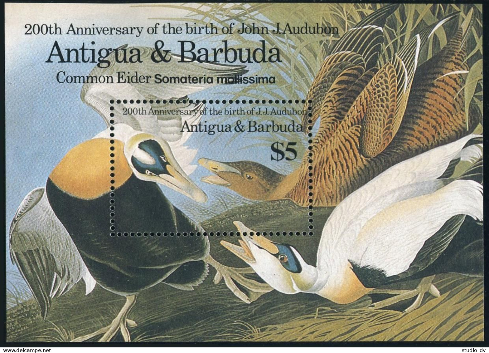 Antigua 910-913,914,MNH.Mi 920-923,Bl.105. Audubon's Birds 1986.Mallard,Widgeon, - Antigua Und Barbuda (1981-...)