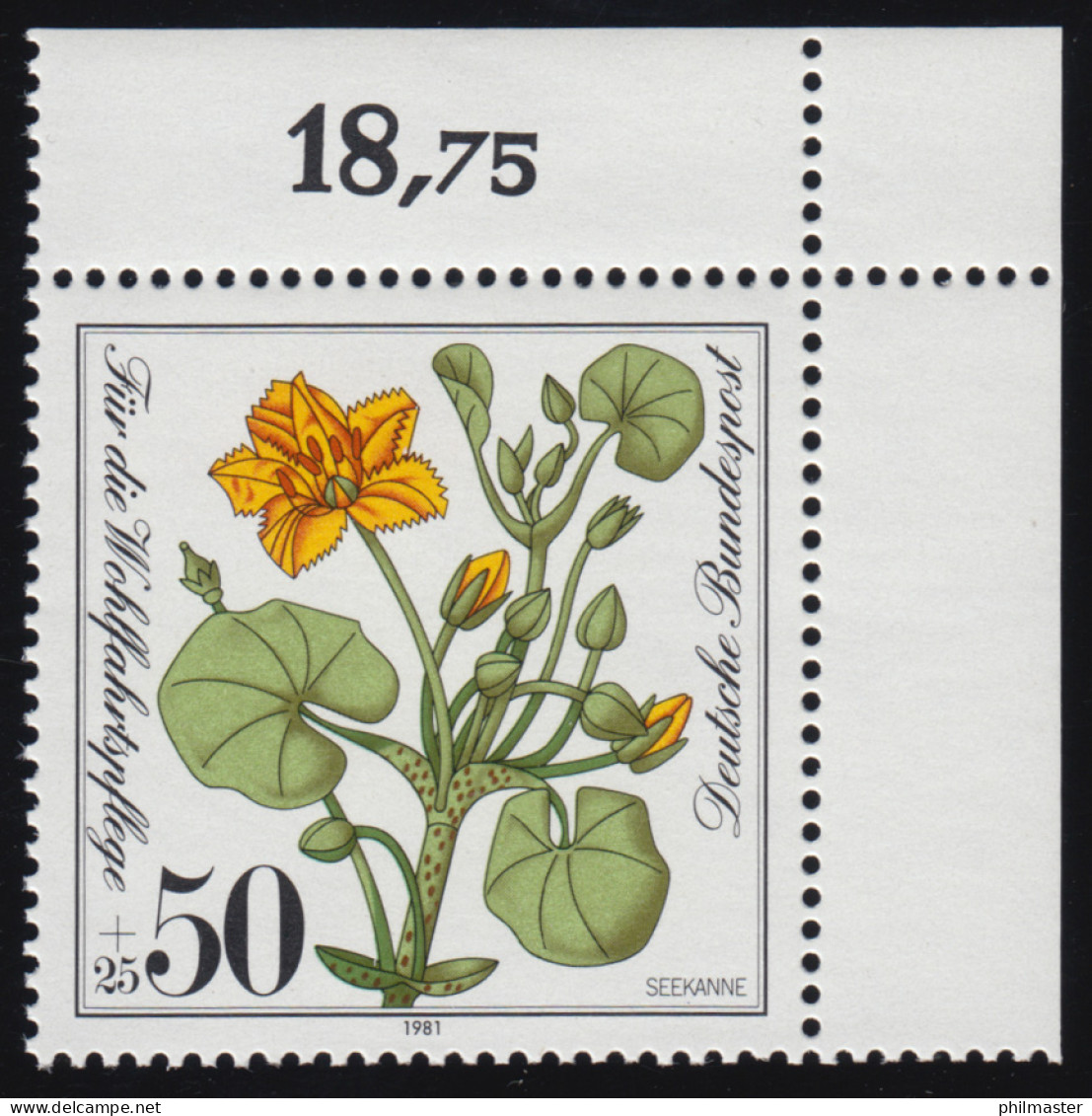 1109 Wohlfahrt Seekanne 50+25 Pf ** Ecke O.r. - Unused Stamps