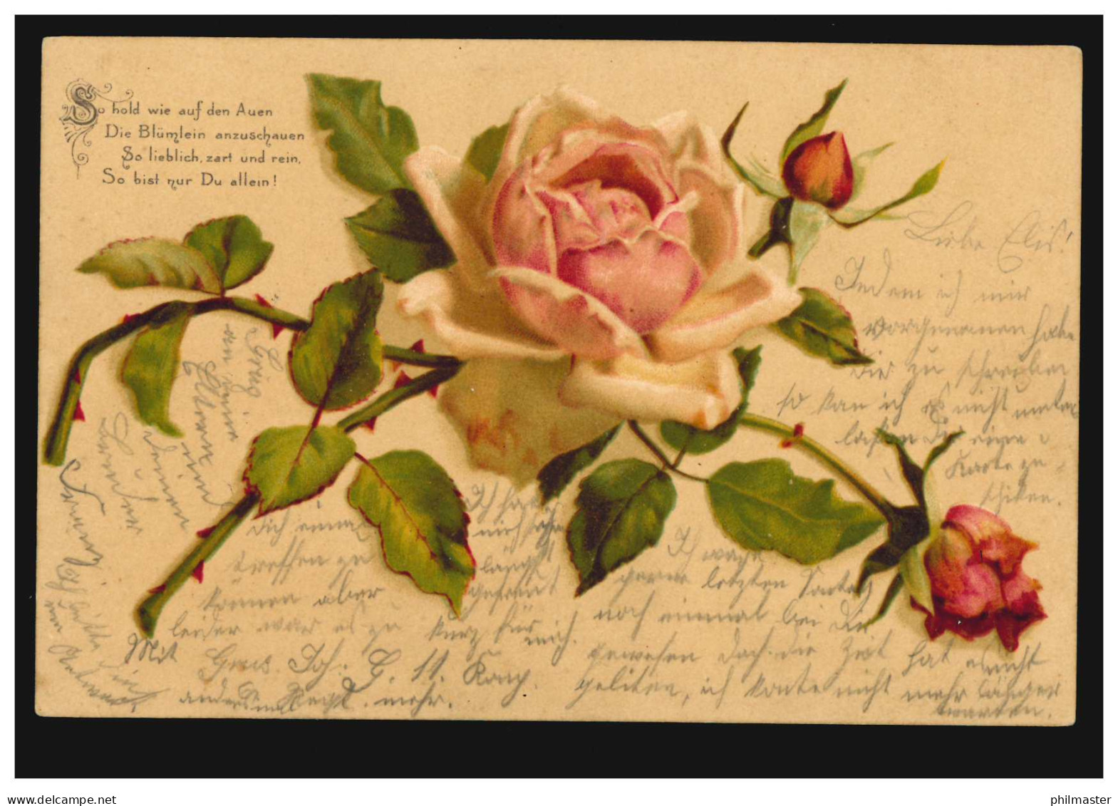 AK Rote Rosen Und Liebesgedicht: So Hold Wie Auf Den Auen, ... AMBERG 12.2.1902 - Other & Unclassified