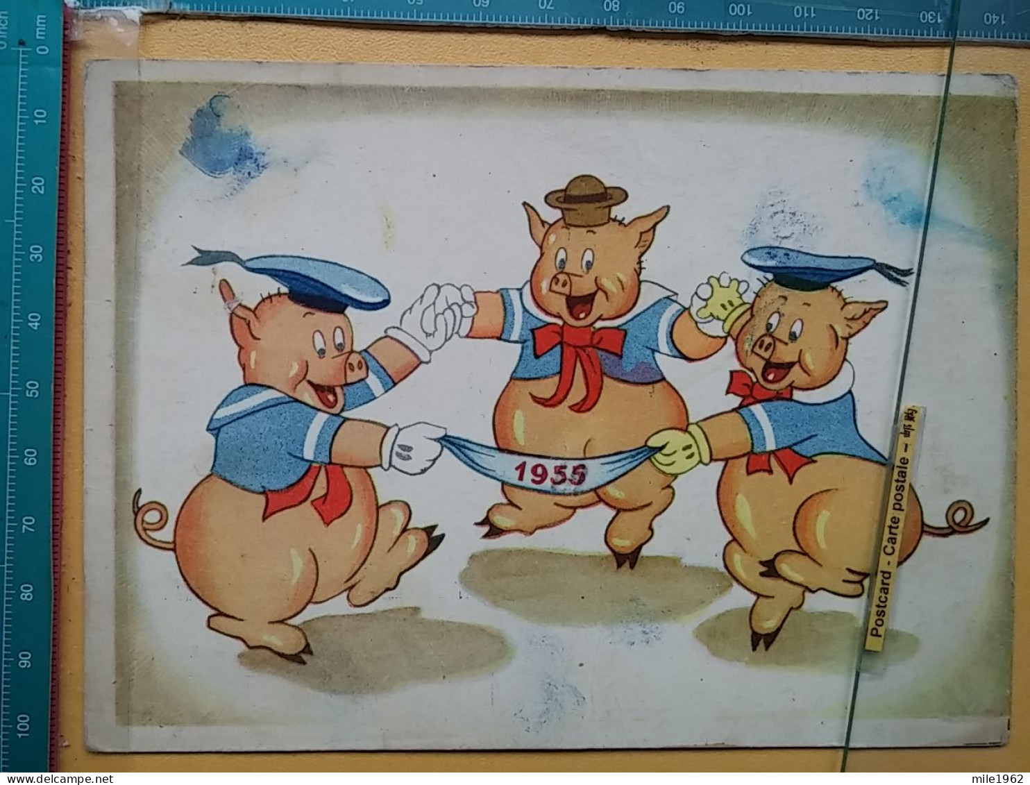 KOV 506-36 - PIG, PORC - Pigs