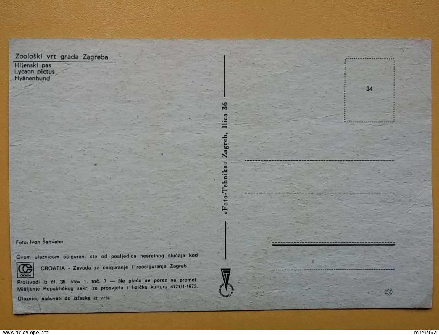 KOV 506-36 - HYÈNE, HYENA, ZOO GARDEN ZAGREB, JARDIN ZOOLOGIQUE - Sonstige & Ohne Zuordnung