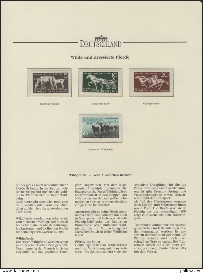 Wilde Und Dressierte Pferde: Dülmener Wildpferde & Pferdesport, 4 Werte ** - Unclassified