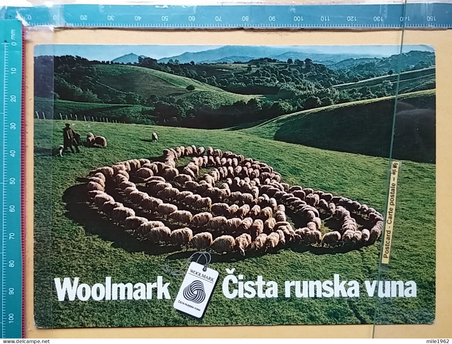 KOV 506-34 - SHEEP, MOUTON, WOOLMARK - Sonstige & Ohne Zuordnung