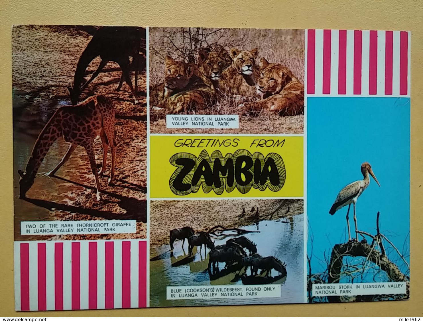 KOV 506-32 - GIRAFFE, LION, LEON, MARIBOU, WILDEBEEST, ZAMBIA - Sonstige & Ohne Zuordnung