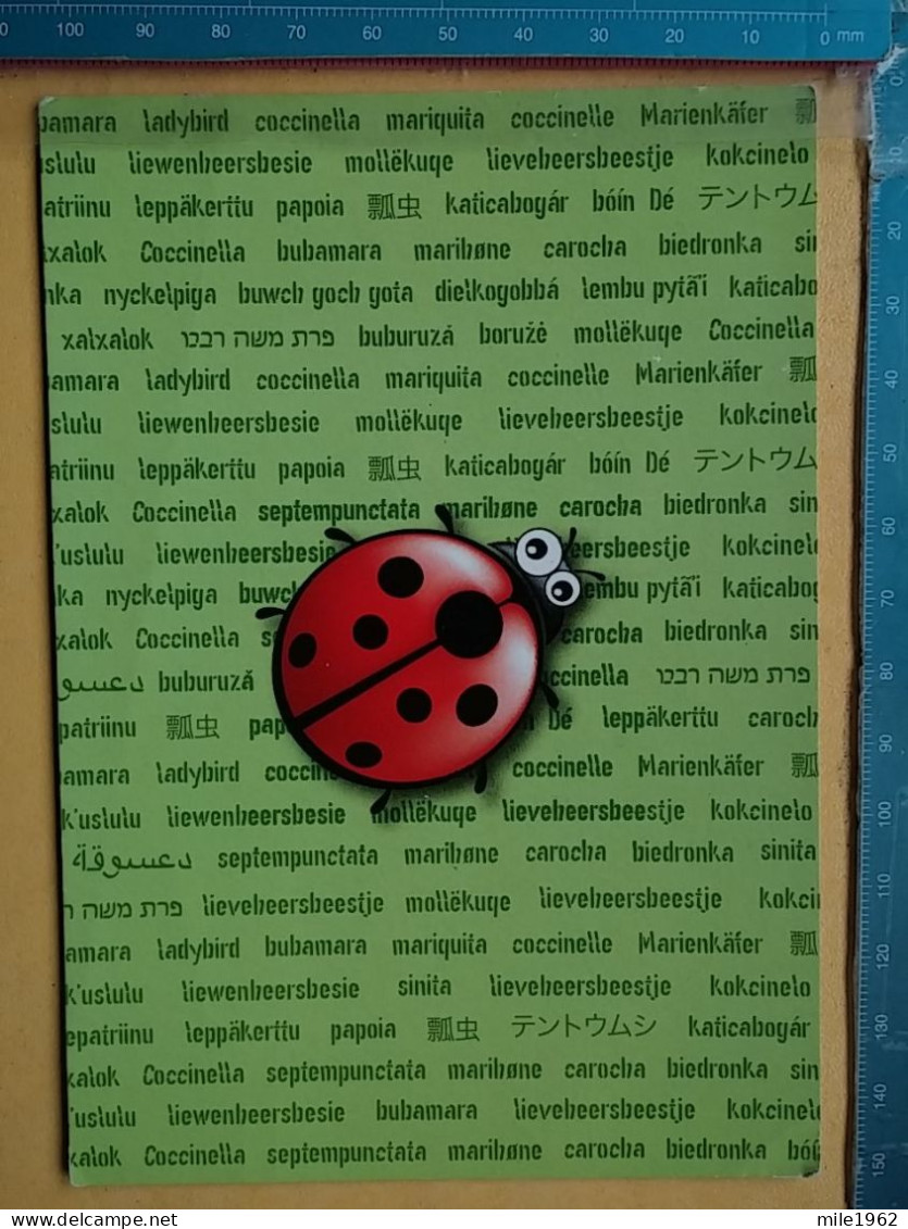 KOV 506-30 - LADYBUG, COCCINELLE - Other & Unclassified