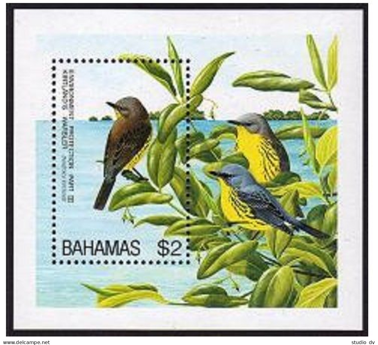 Bahamas 829 Ad, 830, MNH. Mi 866-869, 870 Bl.78. WWF 1995. Kirtlands Warbler. - Bahamas (1973-...)