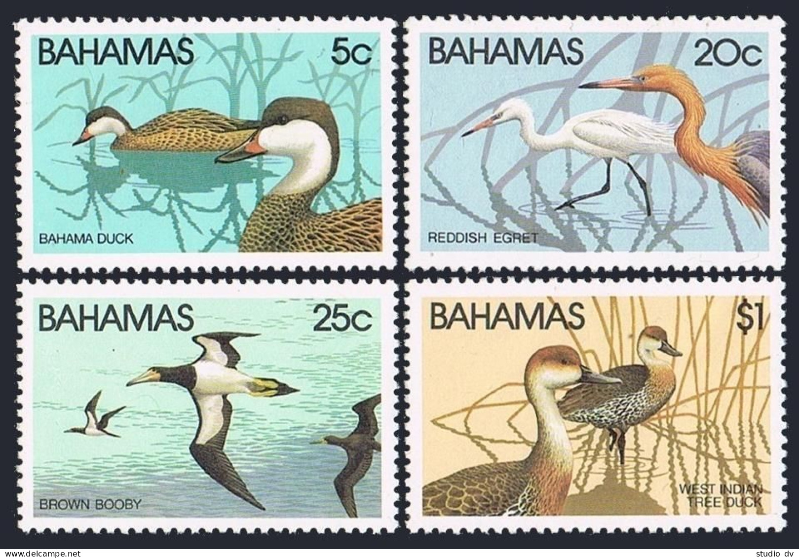 Bahamas 492-495, 495a, MNH. Mi 482-485, Bl.34. 1981. Reddish Egret, Booby,Ducks. - Bahamas (1973-...)