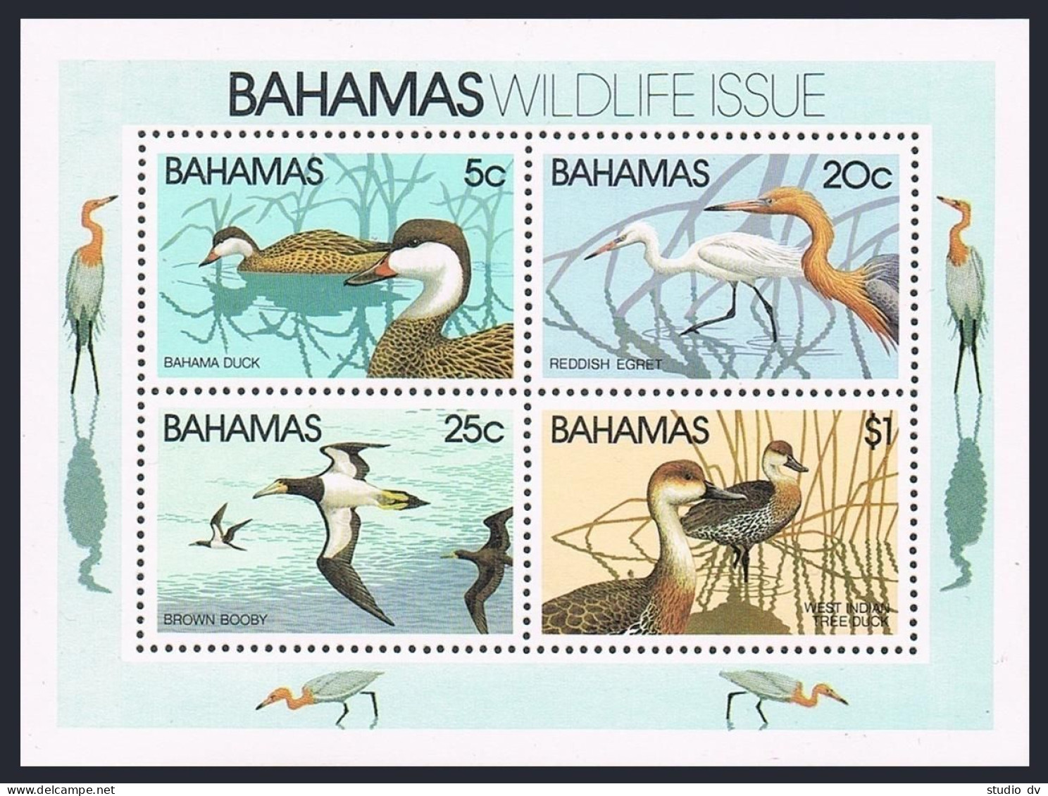 Bahamas 492-495, 495a, MNH. Mi 482-485, Bl.34. 1981. Reddish Egret, Booby,Ducks. - Bahamas (1973-...)