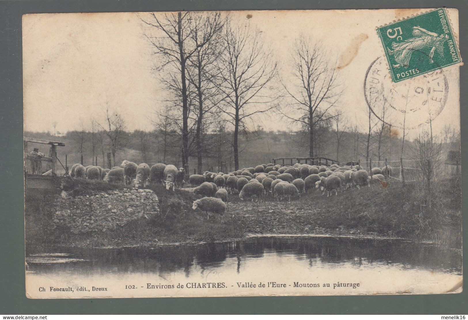CP - 28 - Environs De Chartres - Vallée De L'Eure - Moutons Au Pâturage - Sonstige & Ohne Zuordnung
