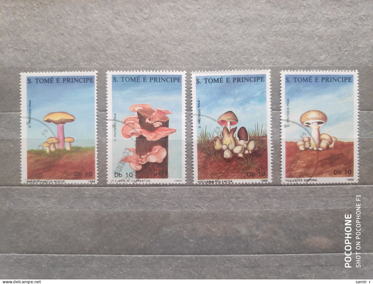 1988	S. Tome E Principe	Mushrooms (F97) - Autres - Océanie