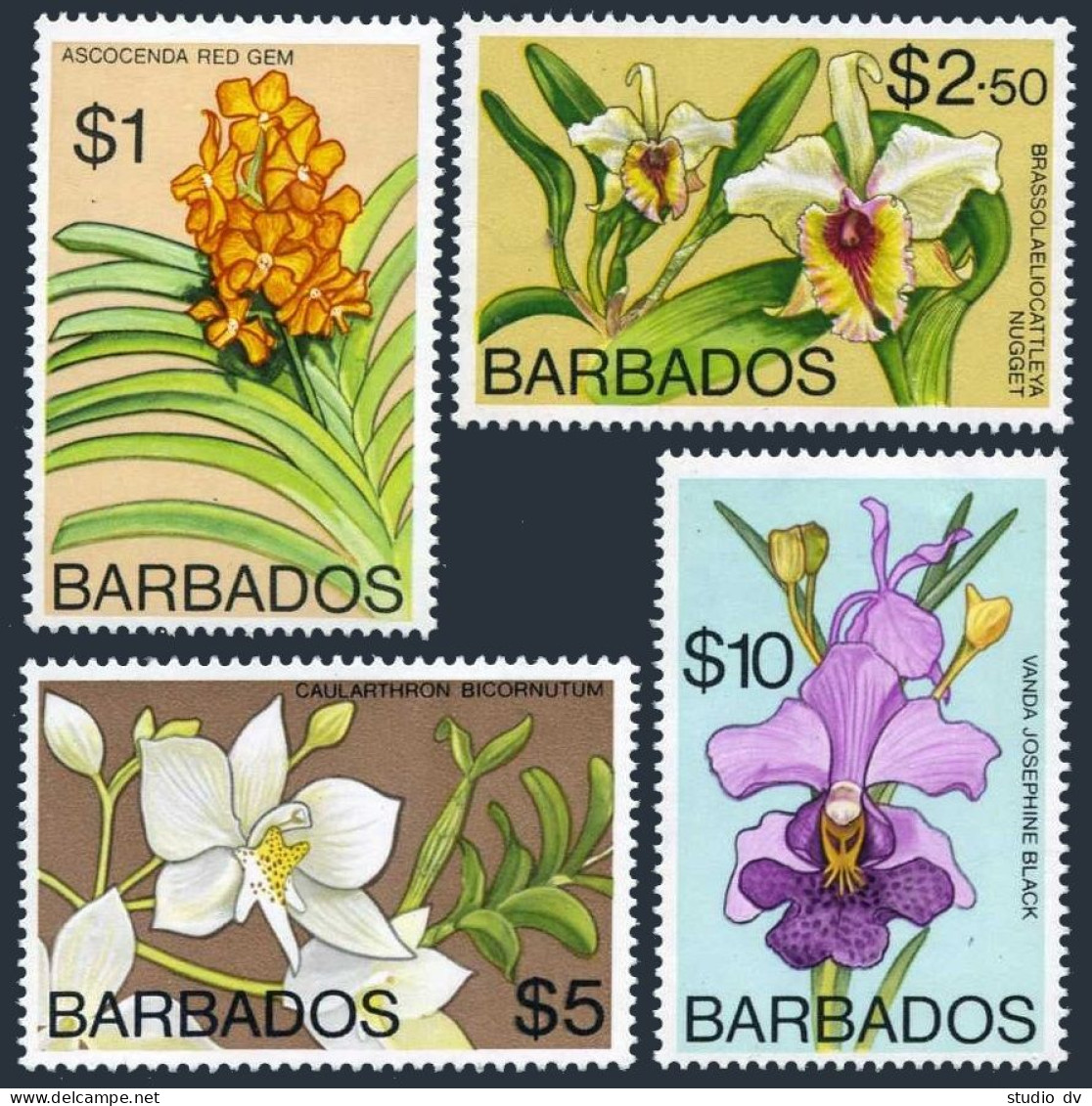 Barbados 408b-411b WMK 373,MNH.Michel 377Y-380Y. Orchids 1975. - Barbades (1966-...)