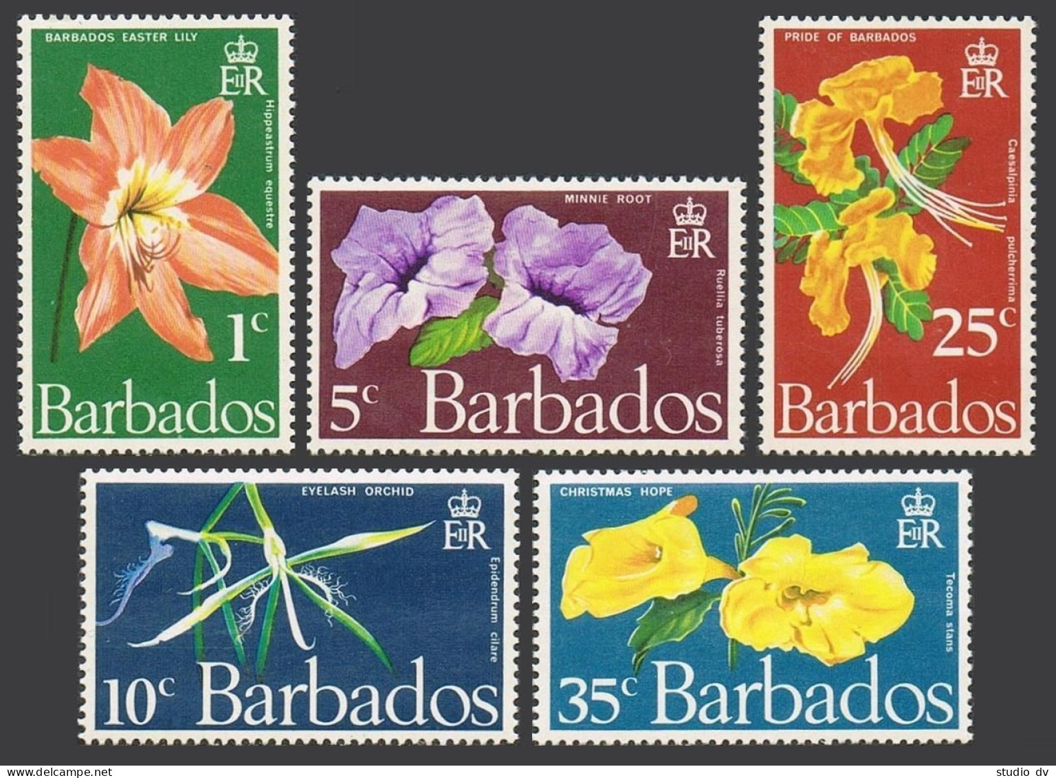 Barbados 348-352,MNH.Michel 317-321. Flowers 1970.Minnie Root,Lily,Orchid,Pride, - Barbades (1966-...)
