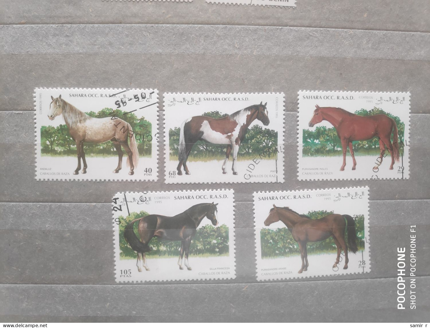 1995	Sahara	Horses (F97) - Sonstige - Afrika