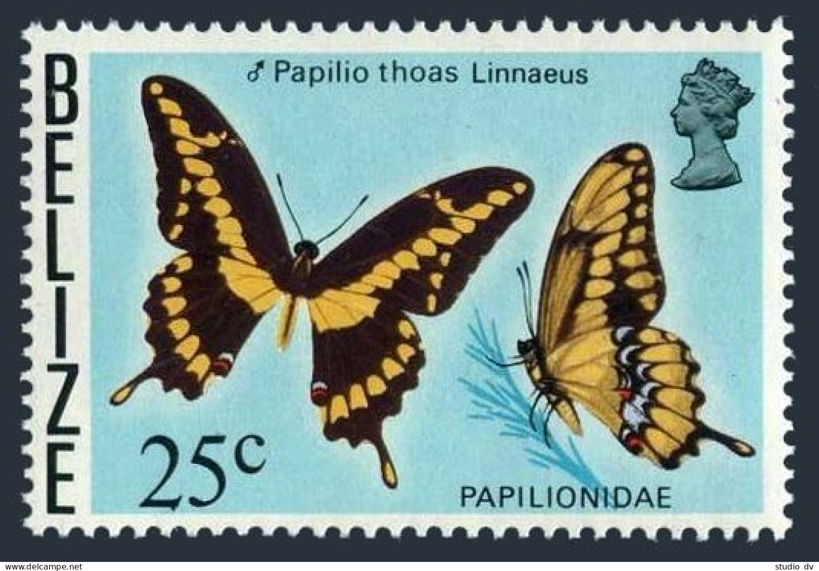 Belize 354, MNH. Michel 369. Butterfly 1977. Papilio Thoas (Papiliondae). - Belize (1973-...)