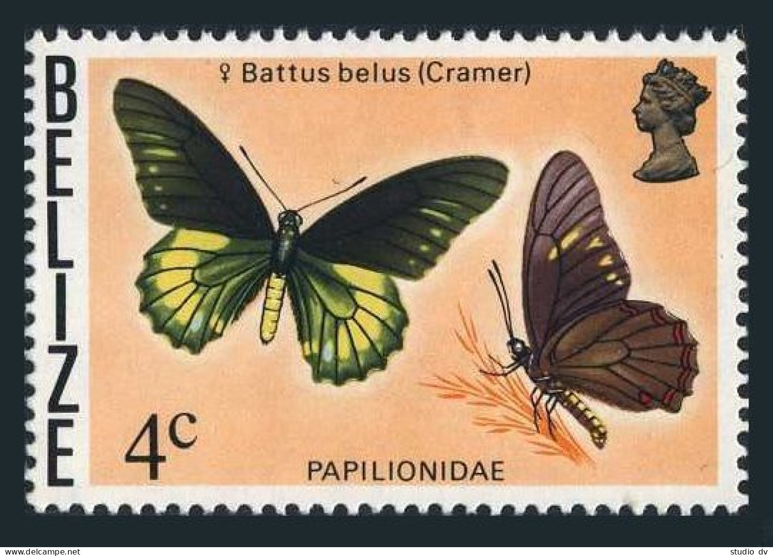 Belize 349, MNH. Michel 334. Butterfly 1974. Battus Belus. - Belize (1973-...)