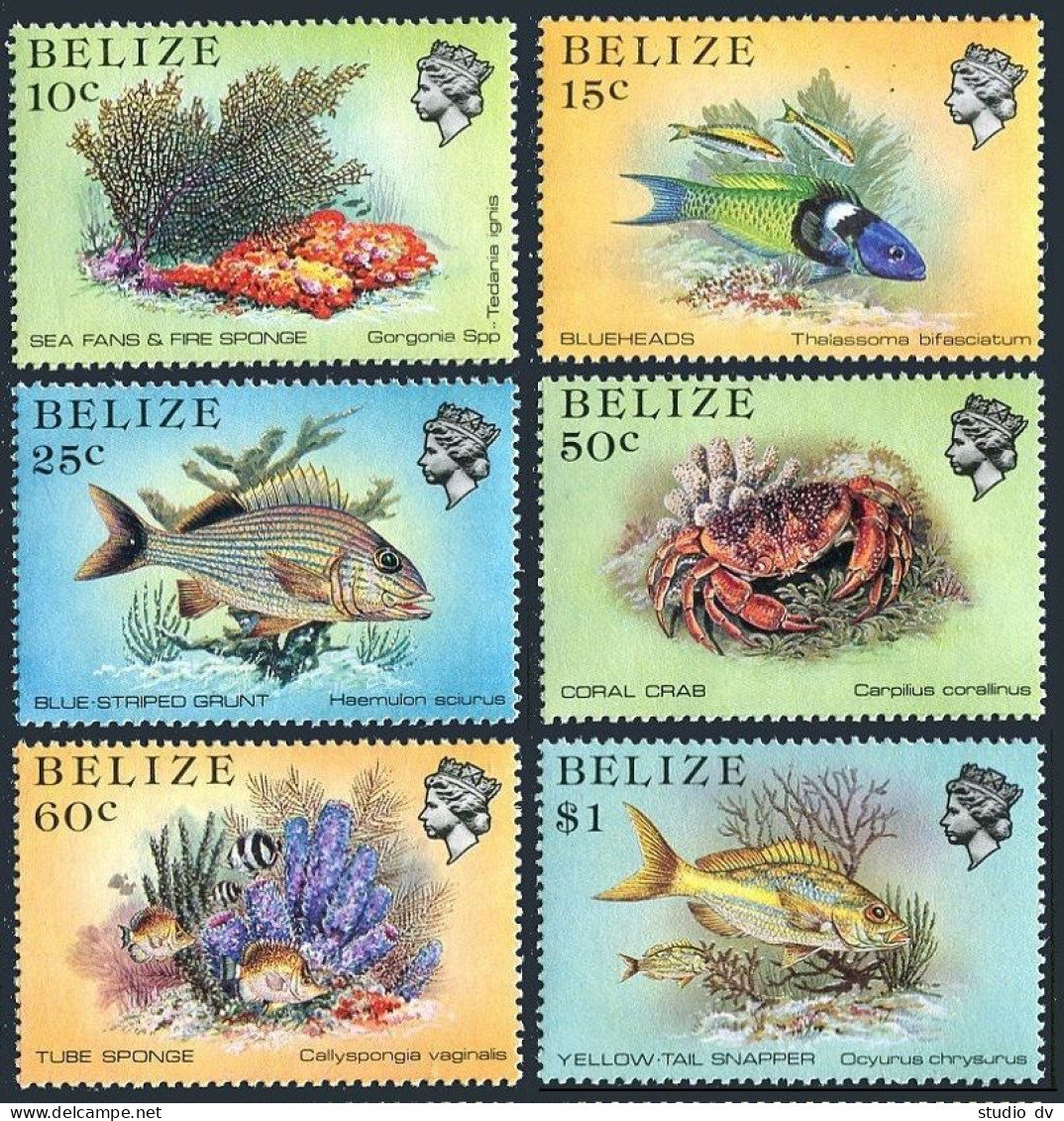 Belize 699-714 Perf.15,705a-711a Perf.13.5,MNH. Marine Life 1984-88.Fish,Corals. - Belize (1973-...)