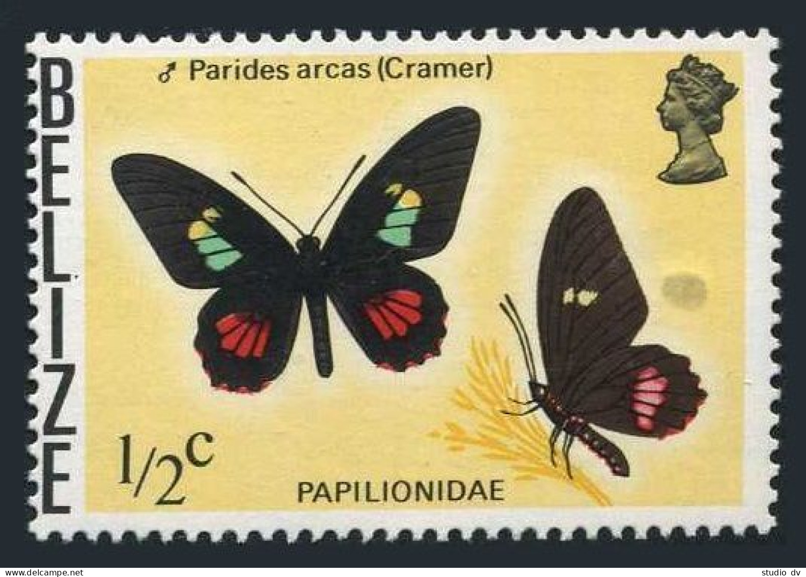 Belize 345a Wmk 373, MNH. Michel 330Y. Butterflies 1975: Parides Arcas - Cramer. - Belize (1973-...)