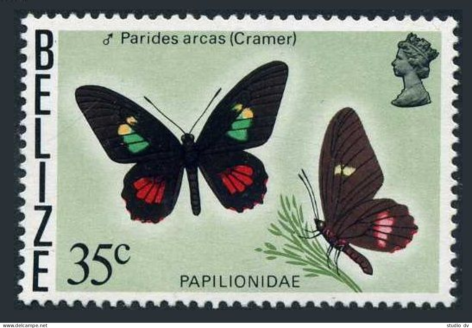 Belize 355A, MNH. Michel 370Y. Butterfly 1977. Parides Arcas-Cramer. - Belize (1973-...)