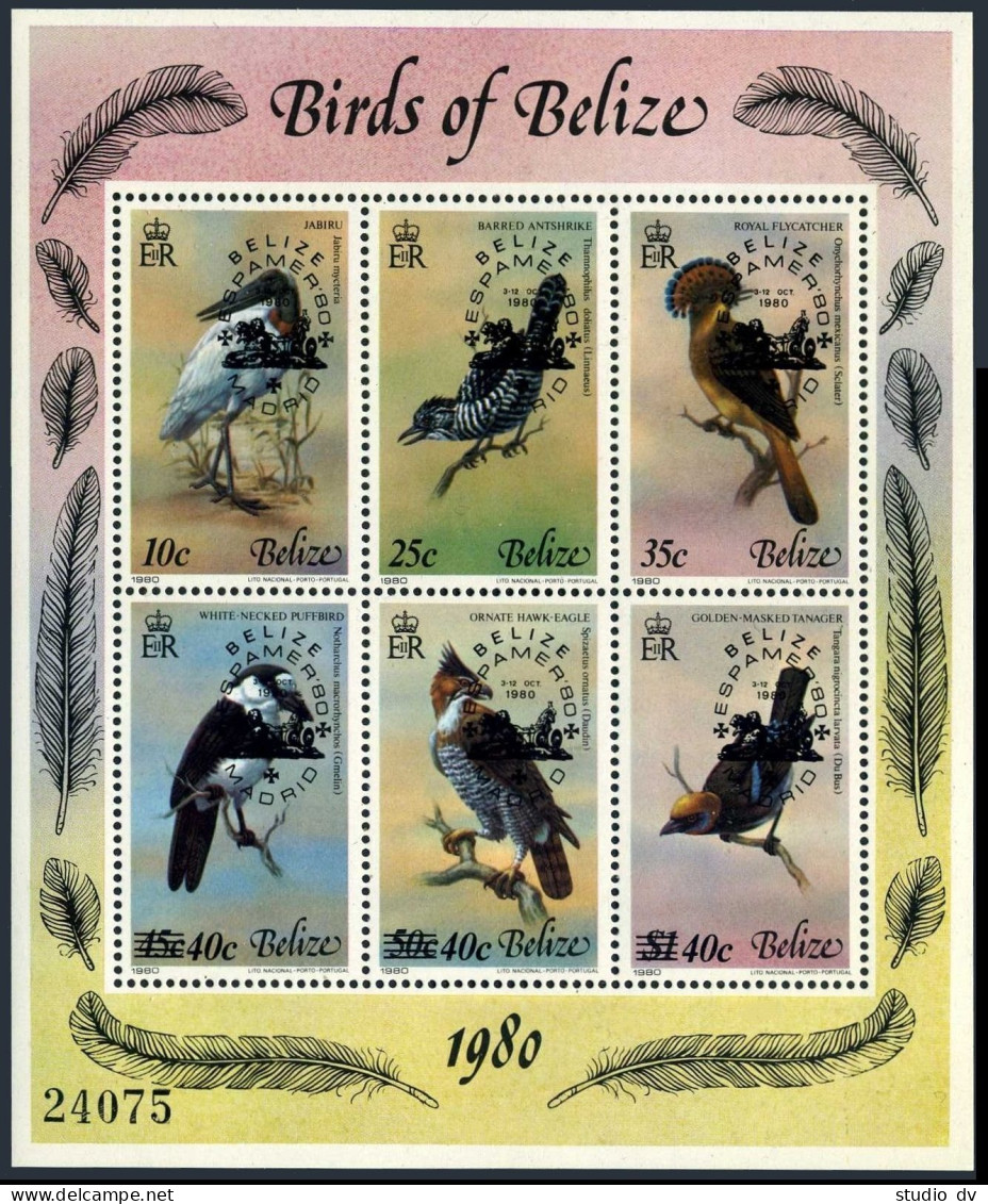 Belize 502 Af Sheet,MNH.Michel 512-517 Bl.22. Birds,ESPAMER-1980. - Belize (1973-...)